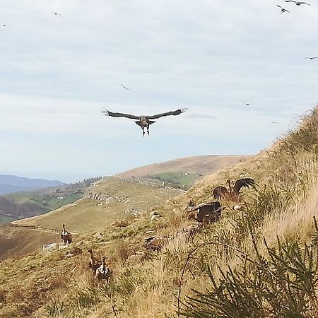 La Pasiega San Roque de Ríomiera Exteriör bild