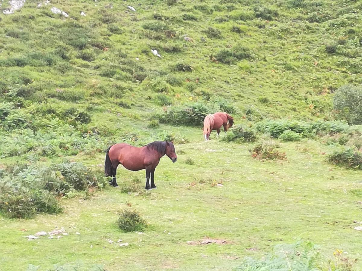La Pasiega San Roque de Ríomiera Exteriör bild